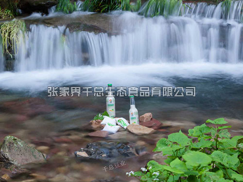 豆奶系列 (9) 豆奶系列 (9)